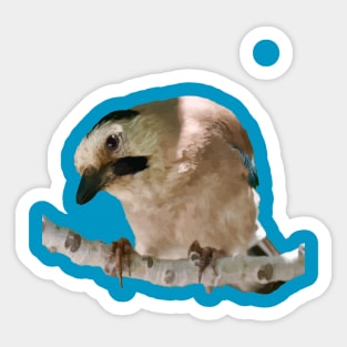 Geeky Gormless Looking Jay Perched On A Branch Cut Out Sticker